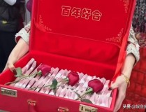 华润翡云悦府(上海浦东)2025华润翡云悦府首页网站-楼盘细目 户型细节-实探！创记录地王项目展厅怒放-起猛了！高中生开飞机首飞获胜？！-(上海浦东)2025首页网站-楼盘细目 户型细节-实探！创记录
