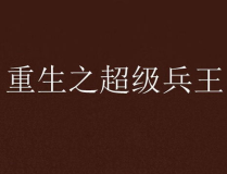重生之超级兵王,兵王再战巅峰