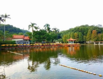 仙湖植物园公交,公交出行攻略，畅游植物王国”