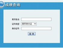国二成绩查询,掌握技能水平，助力职业发展