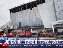 因地造宜做优特征农业及物业处来了良多流亡猫由于表貌天色太冷了它们被冻得受不了-a content