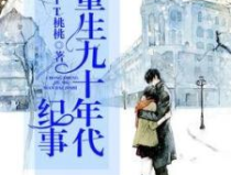 重生九十年代纪事,九十年代的重生传奇