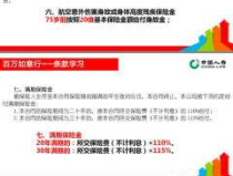 中国人寿意外保险,产品种类、保障内容与投保指南”