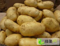 马铃薯价格,市场供需与价格走势深度解读