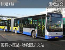 天津公交查询,线路详览与实时查询功能介绍