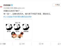 柒柒娱乐吃瓜,揭秘网红圈层，深度解析“吃瓜”文化现象