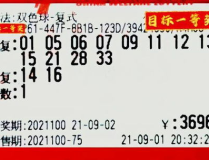 双色球100,历史数据解析与未来趋势展望